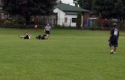 OTFL Gallery Image